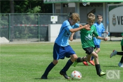 kreisentscheid-im-grundschulfussball-2019-g98440