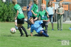 kreisentscheid-im-grundschulfussball-2019-g98442