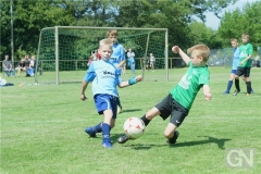 kreisentscheid-im-grundschulfussball-2019-g98445