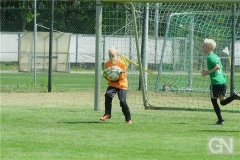 kreisentscheid-im-grundschulfussball-2019-g98450