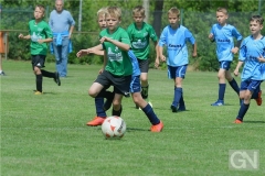 kreisentscheid-im-grundschulfussball-2019-g98469