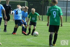 kreisentscheid-im-grundschulfussball-2019-g98472