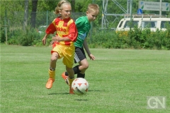 kreisentscheid-im-grundschulfussball-2019-g98535